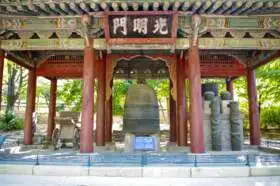 Borugak Jagyeongnu