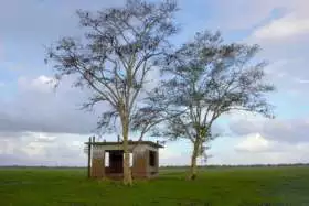 Leví dom, Mozambik