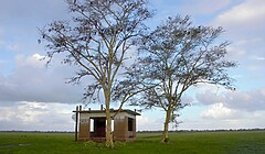 Leví dom, Mozambik