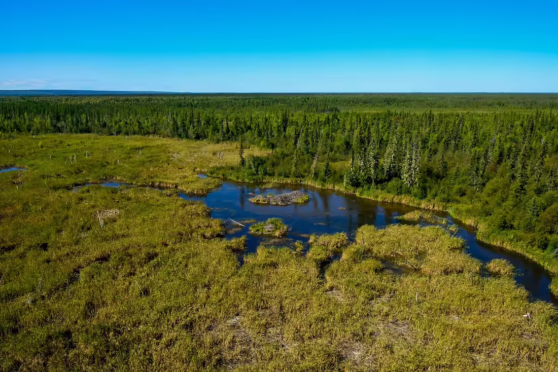 World's Largest Beaver Dam
