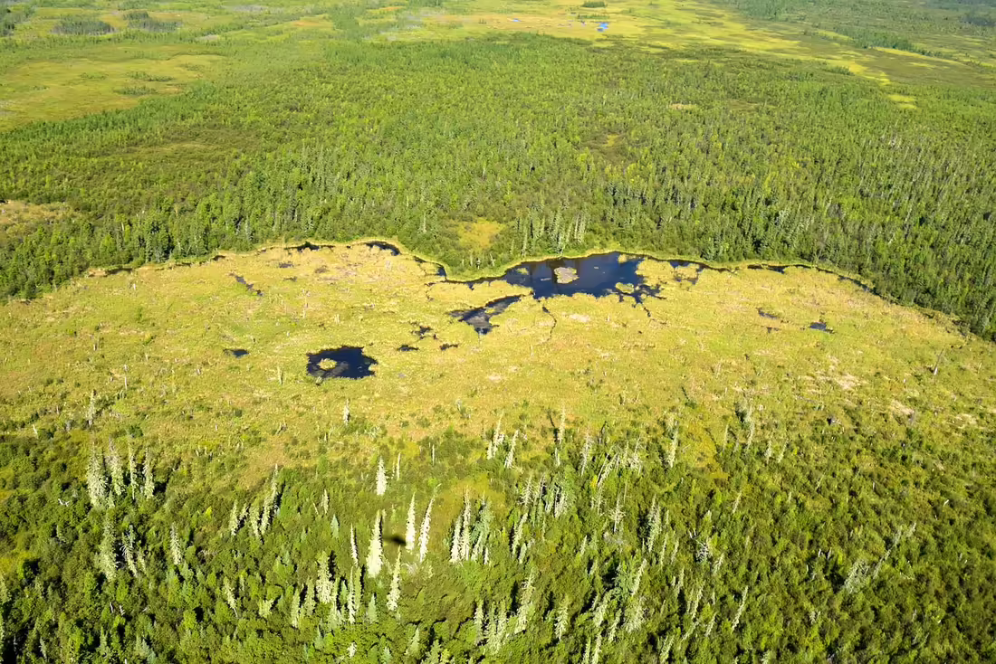 World's Largest Beaver Dam