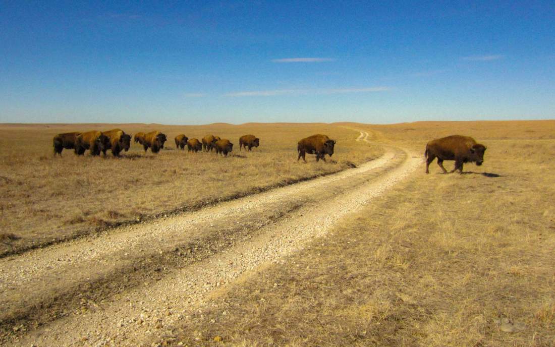 Tallgrass Prairie National Preserve