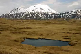 Semisopochnoi Island