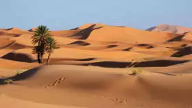 Západná Sahara