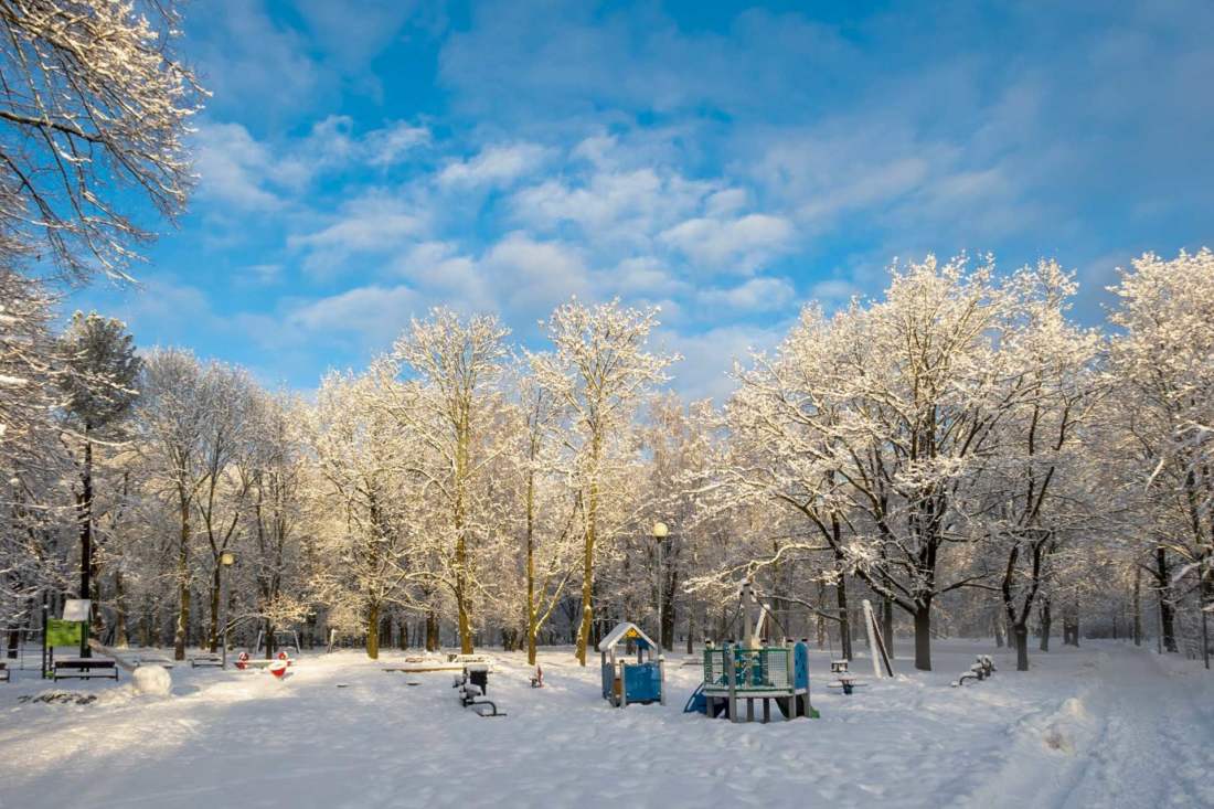 Kopli kalmistupark