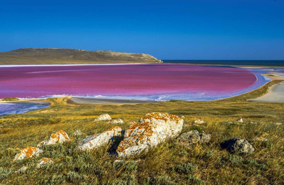 Ružové jazero, Krym