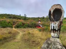 El Parque de los Desvelados