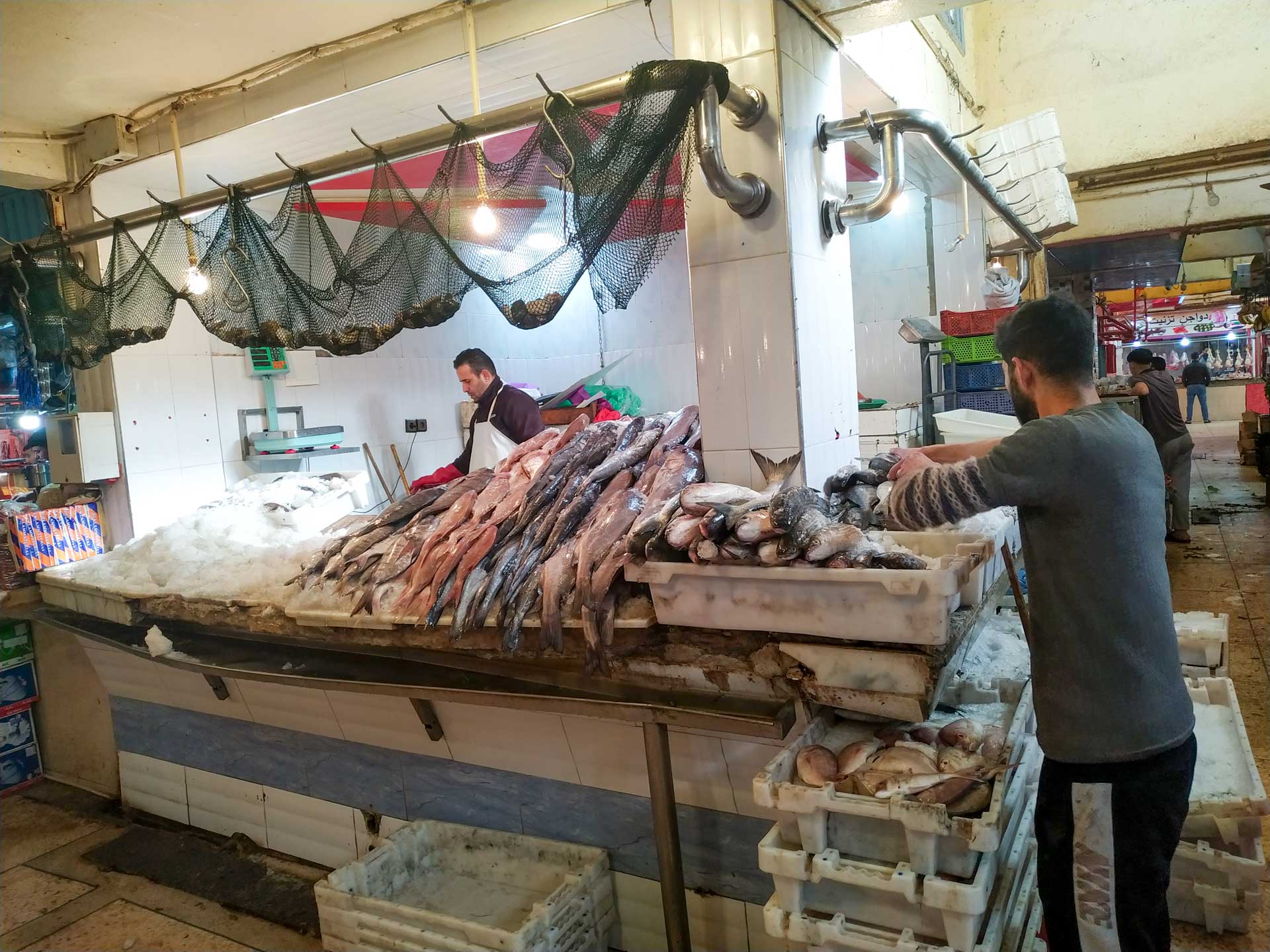 Trh v Dakhla