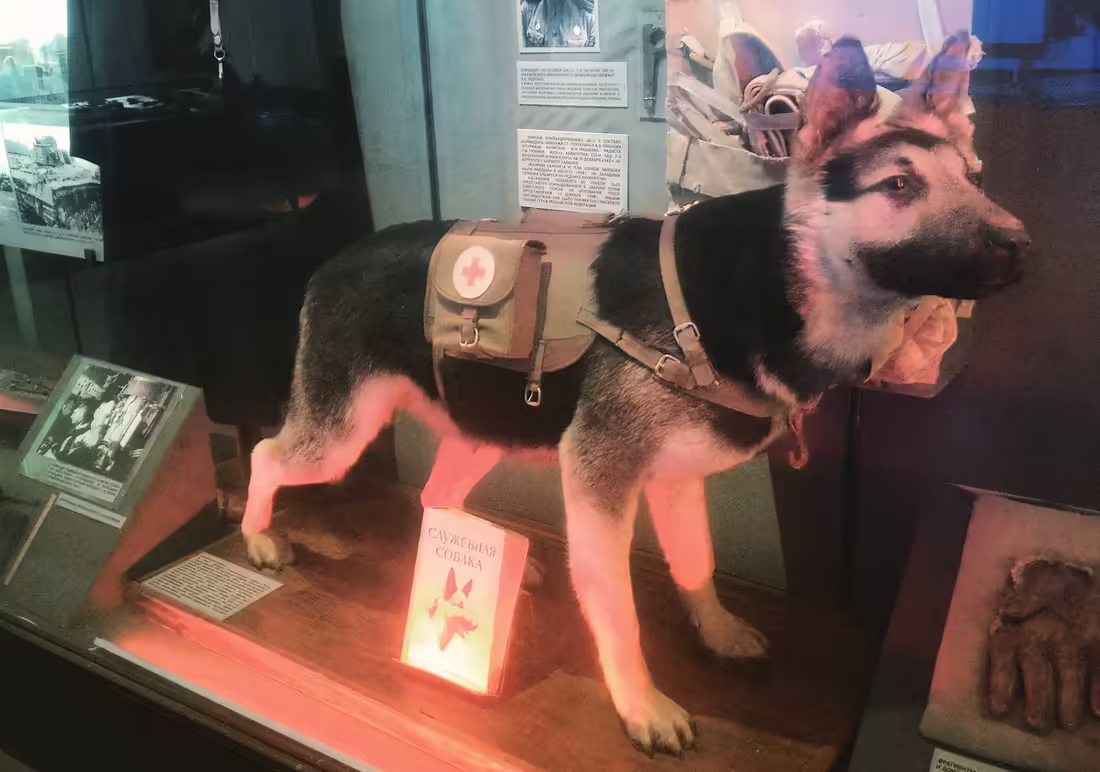 Central Armed Forces Museum