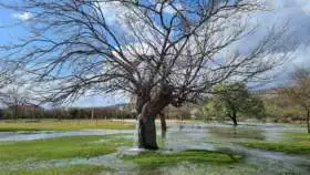 Strom vody