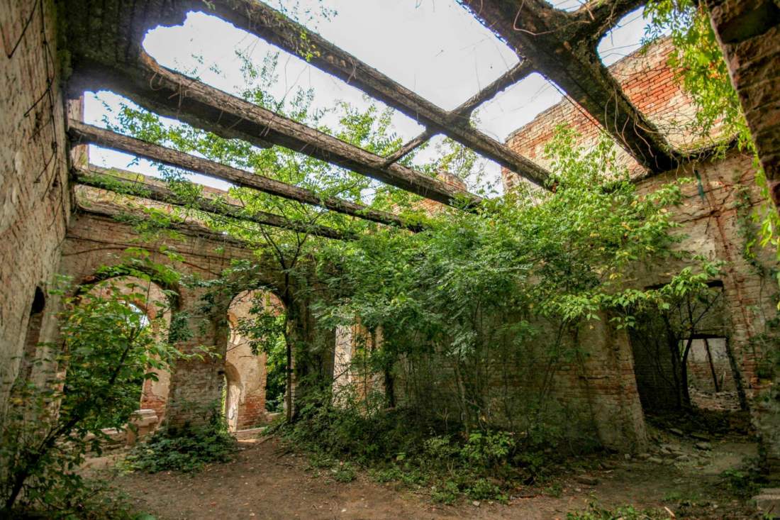 Széchényi-Wenckheim kastélyrom