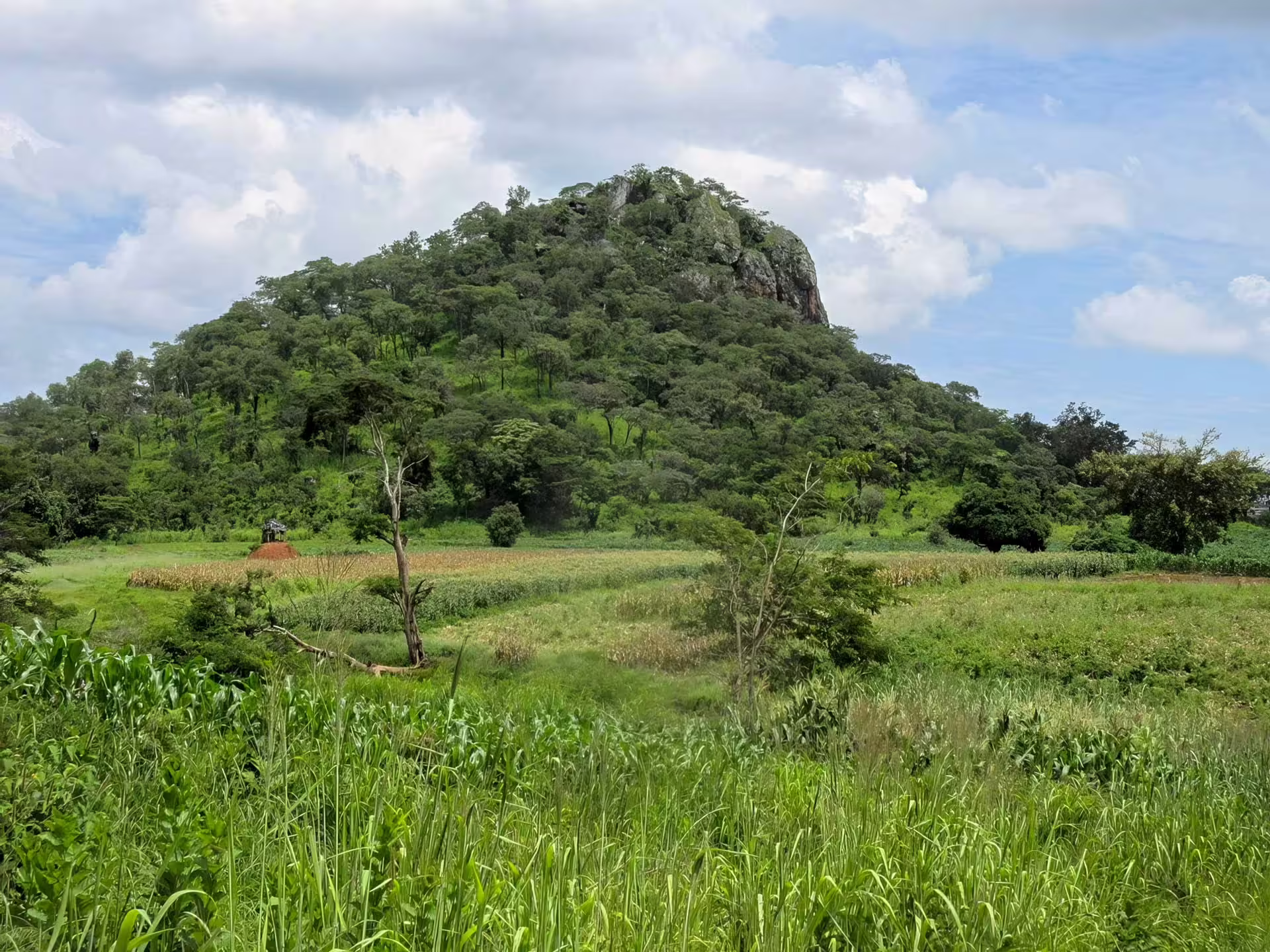 Kamusongolwa kopje