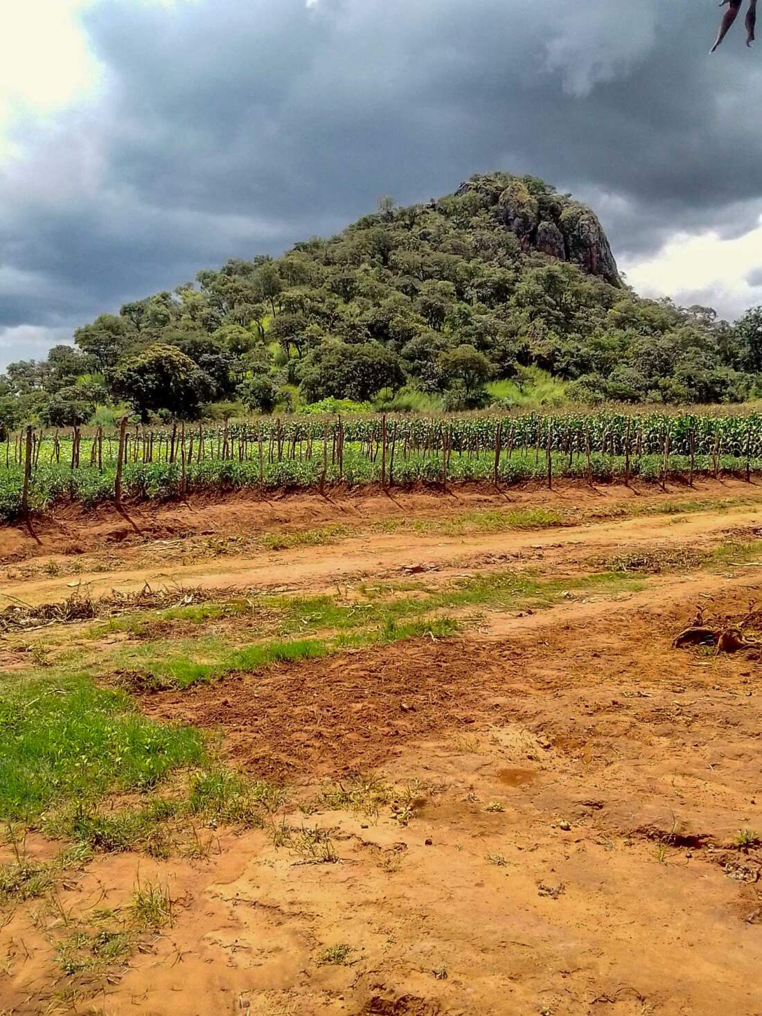 Kamusongorwa Hill