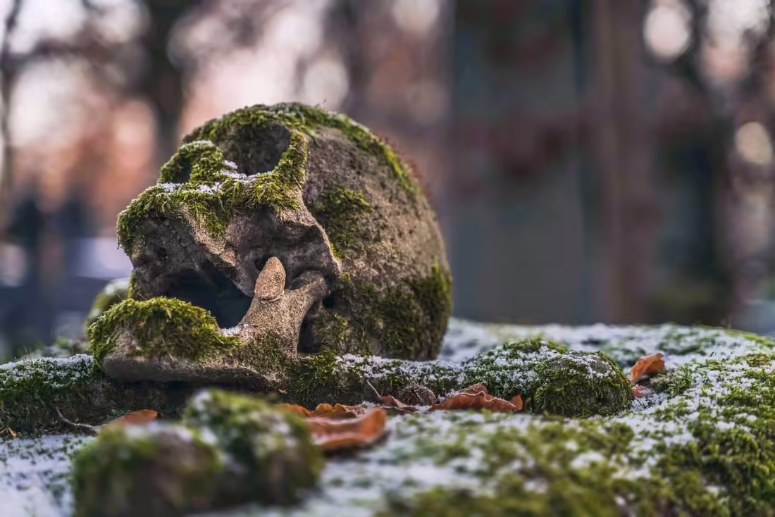 Cemetery of the skull