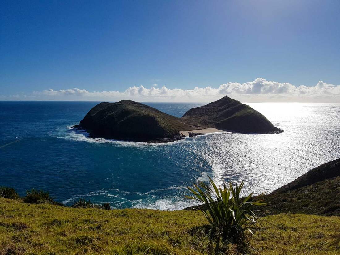 Te Rerenga Wairua