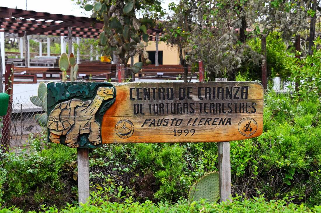 centrum Fausto Llerena
