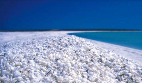 Shell Beach, Australia