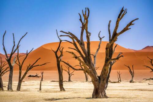 Deadvlei