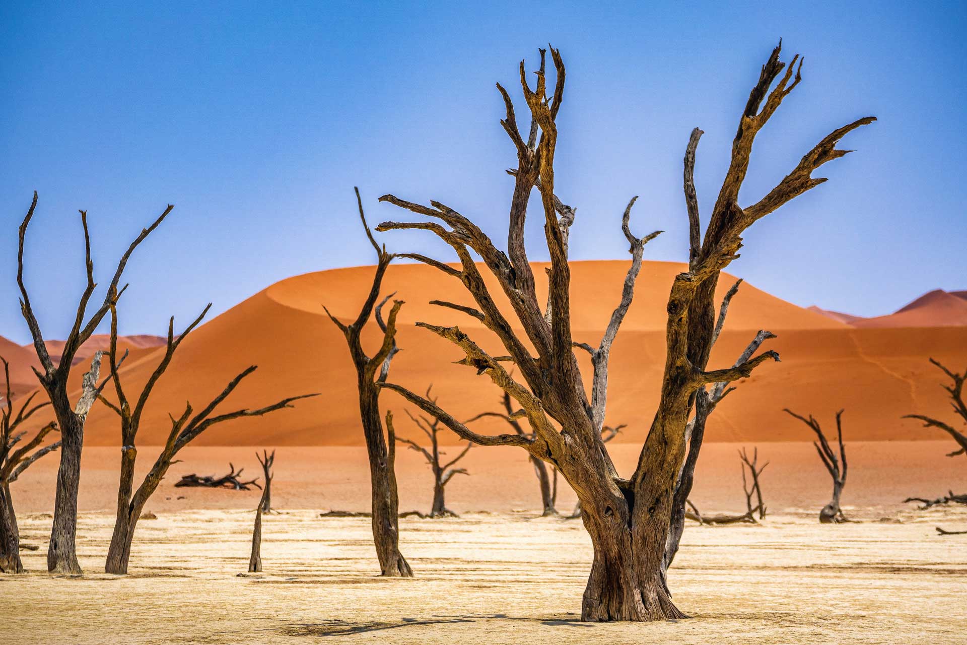 Deadvlei