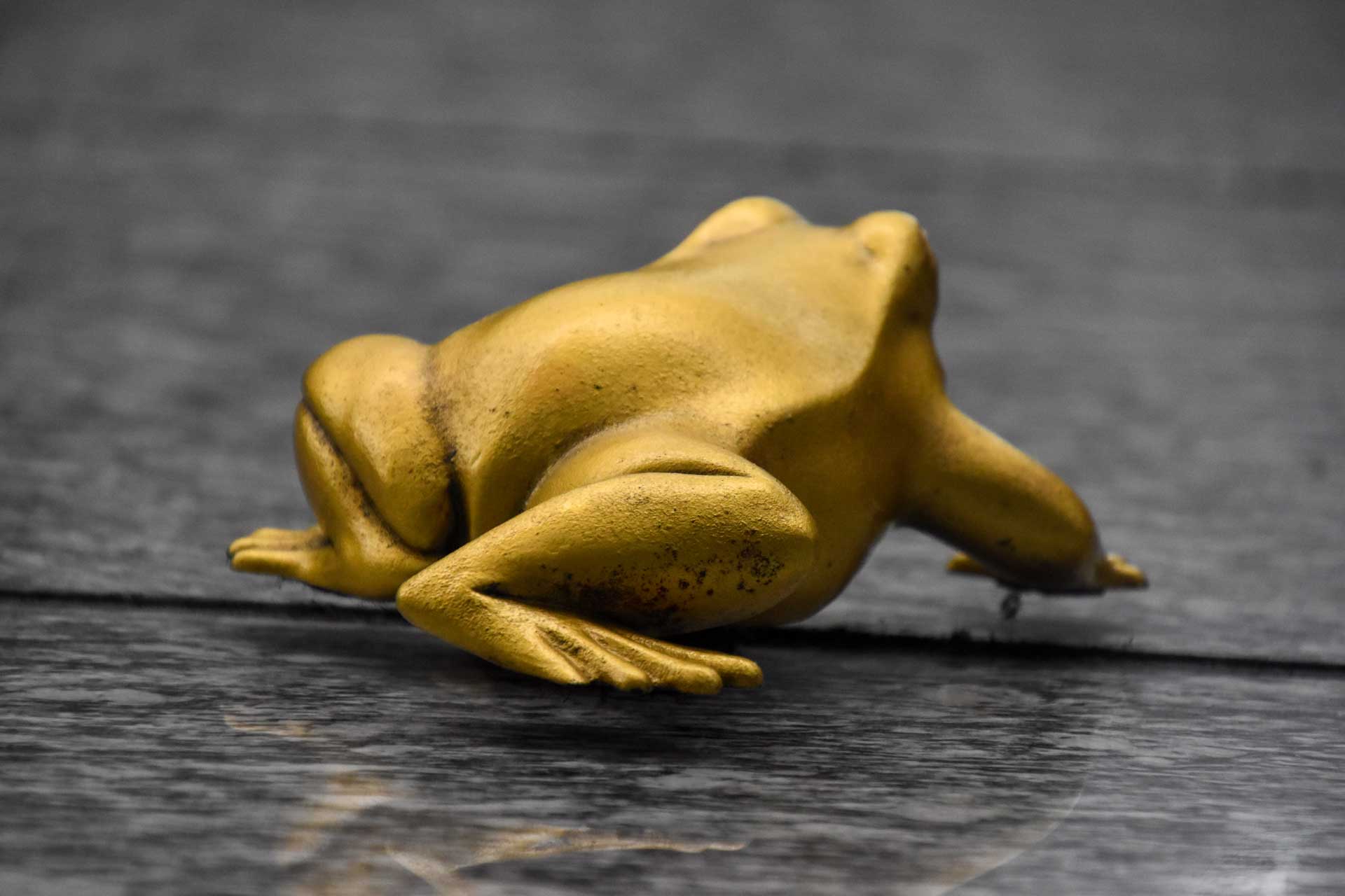 https://www.placemania.sk/wp-content/uploads/2023/08/golden_frog.jpg