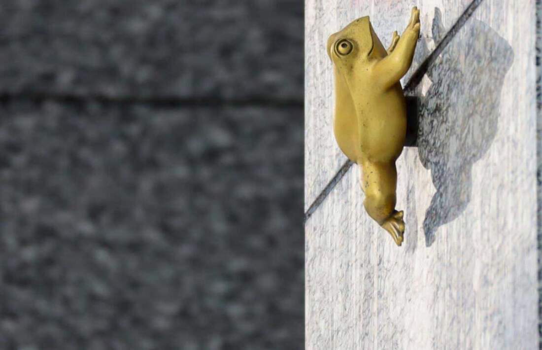 Zlatá žaba