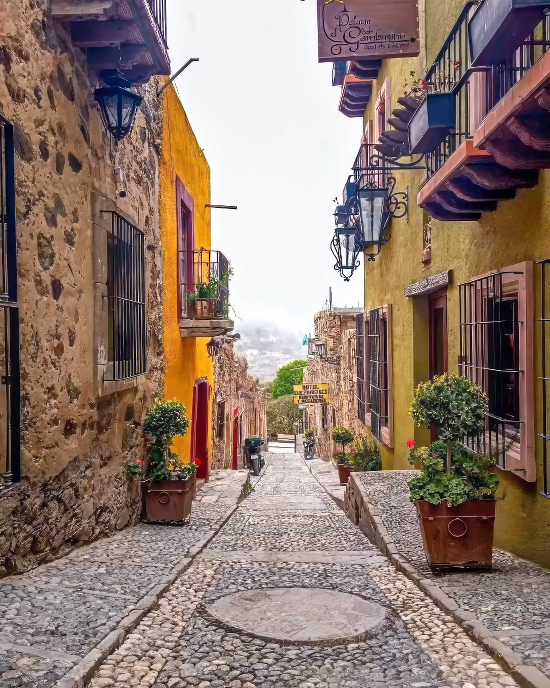 San Luis Potosí