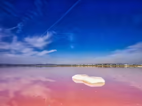 Ružové Jazero Torrevieja