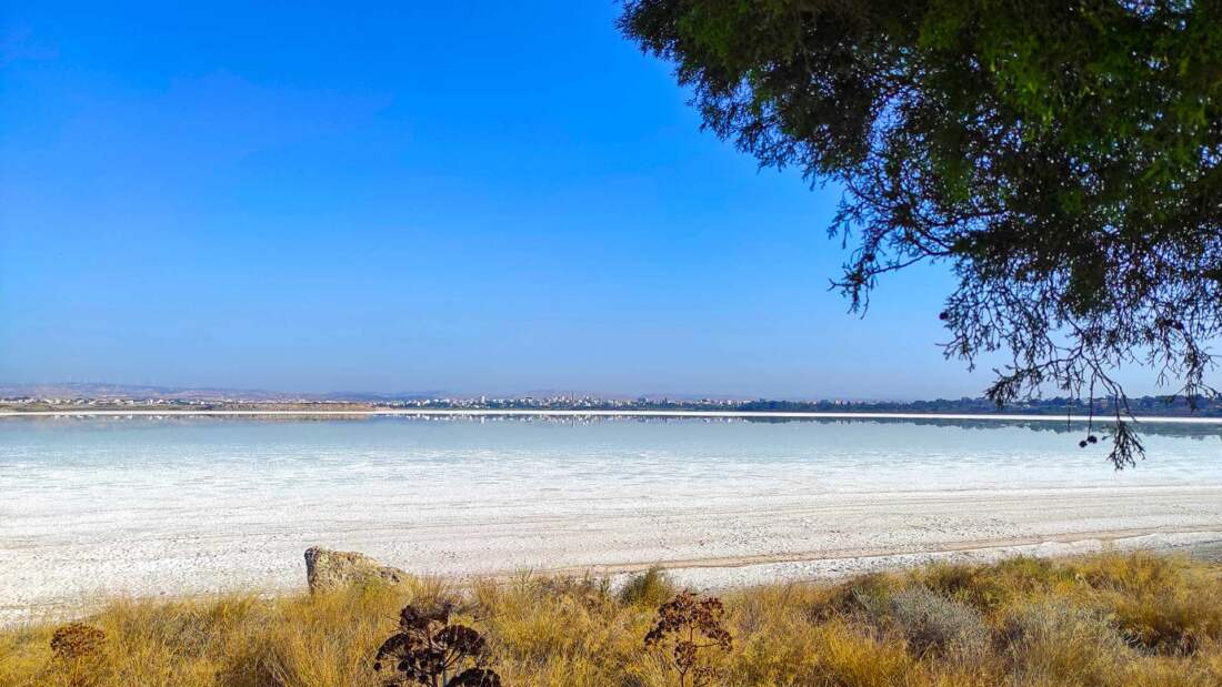 Larnaca Salt Lake