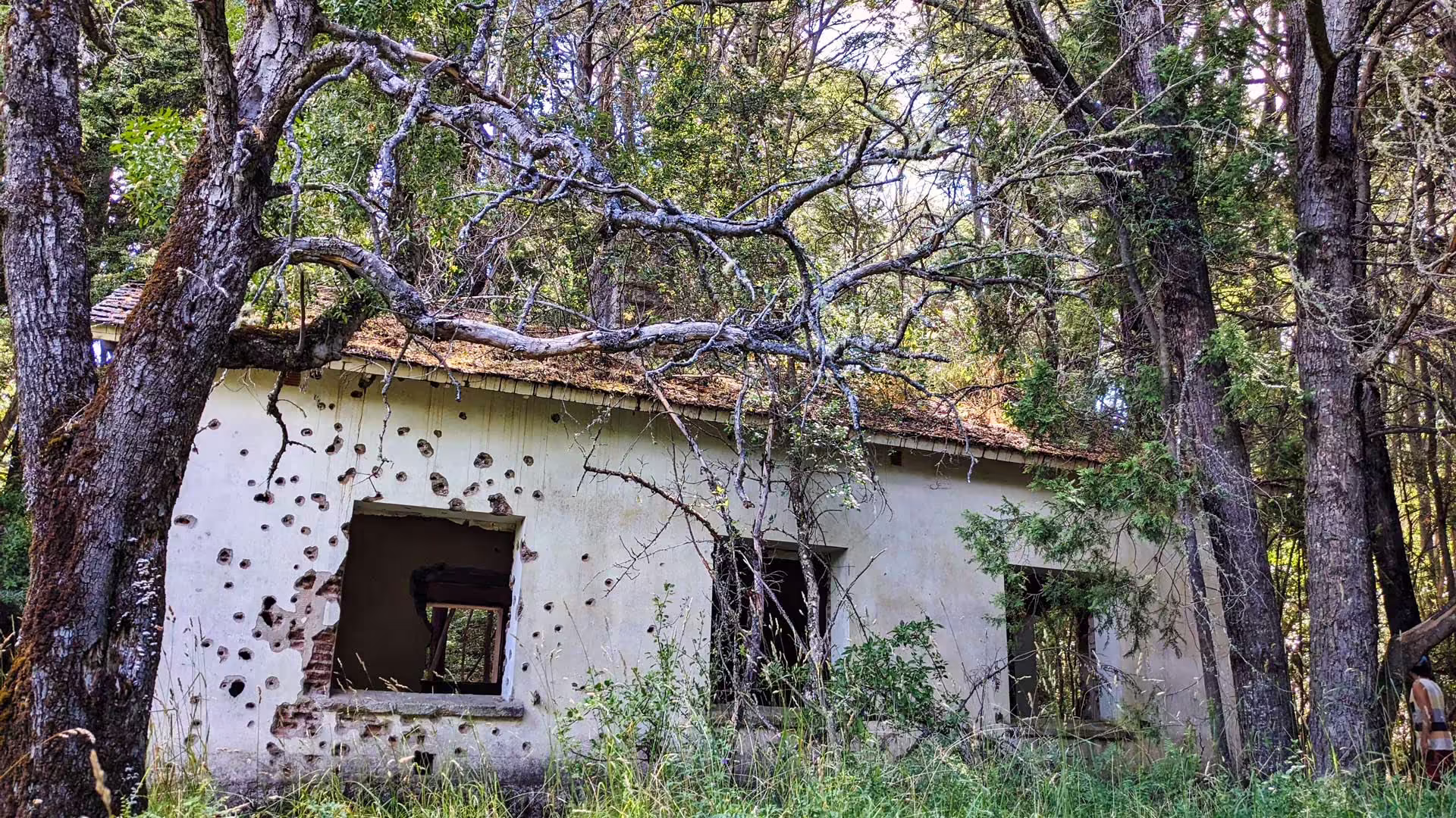 Huemul Island
