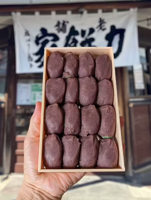 Japonské silné mochi