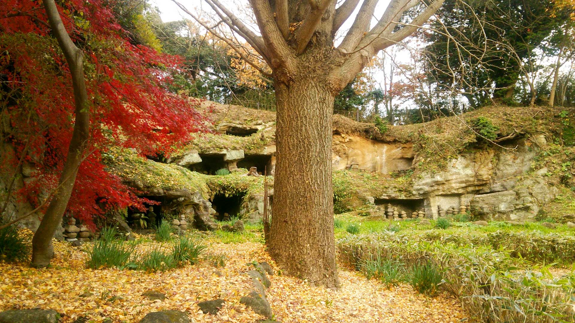 yagura