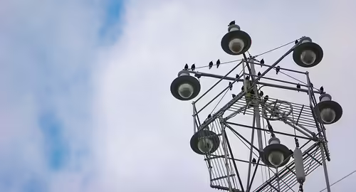 Austin Moonlight tower