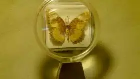 Museu Microgegant