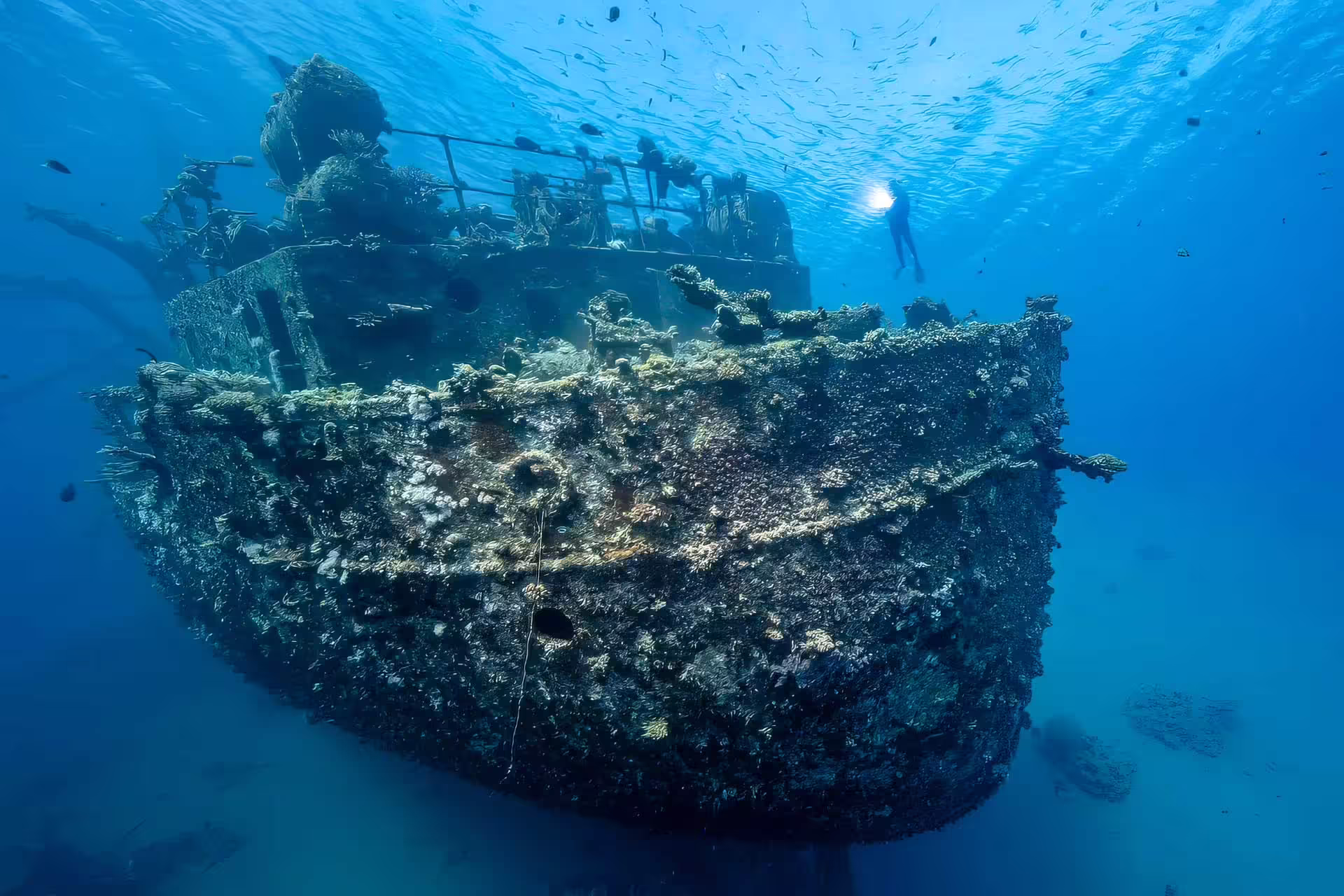 SS Thistlegorm