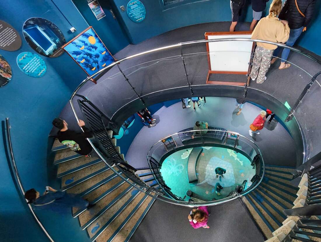 Underwater Observatory