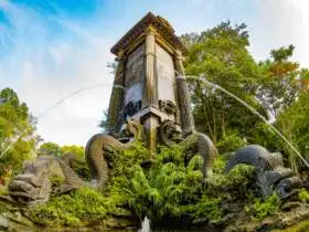 Vườn hoa con Cóc