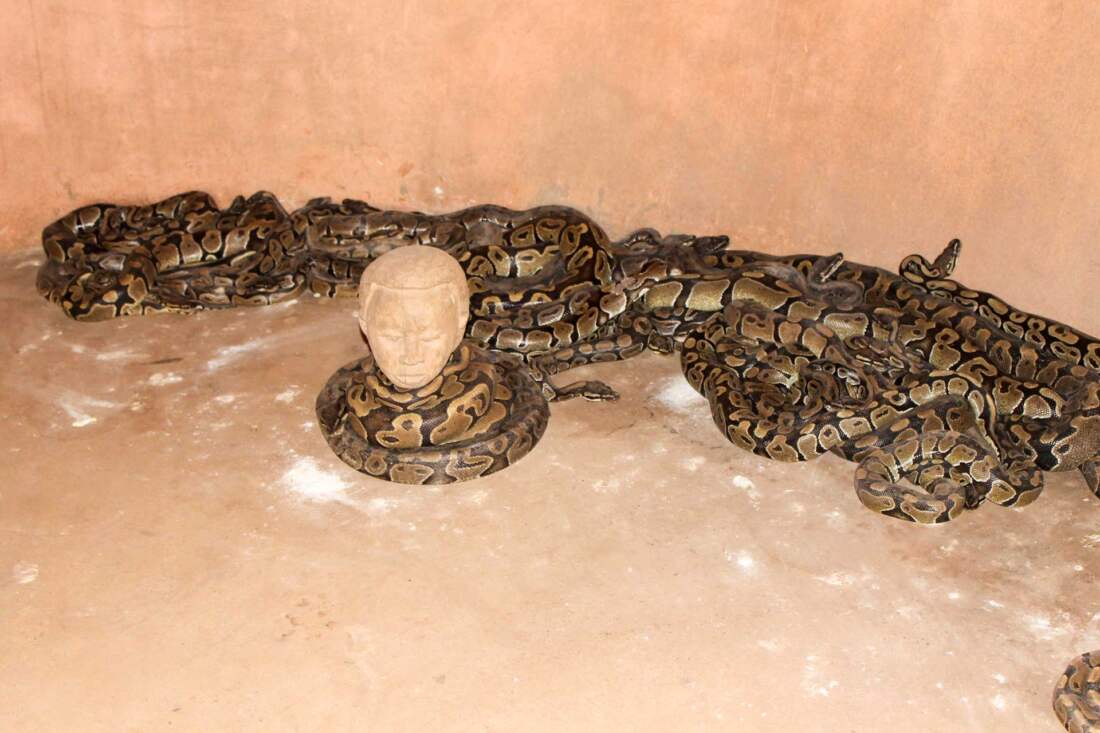 Pythons Temple