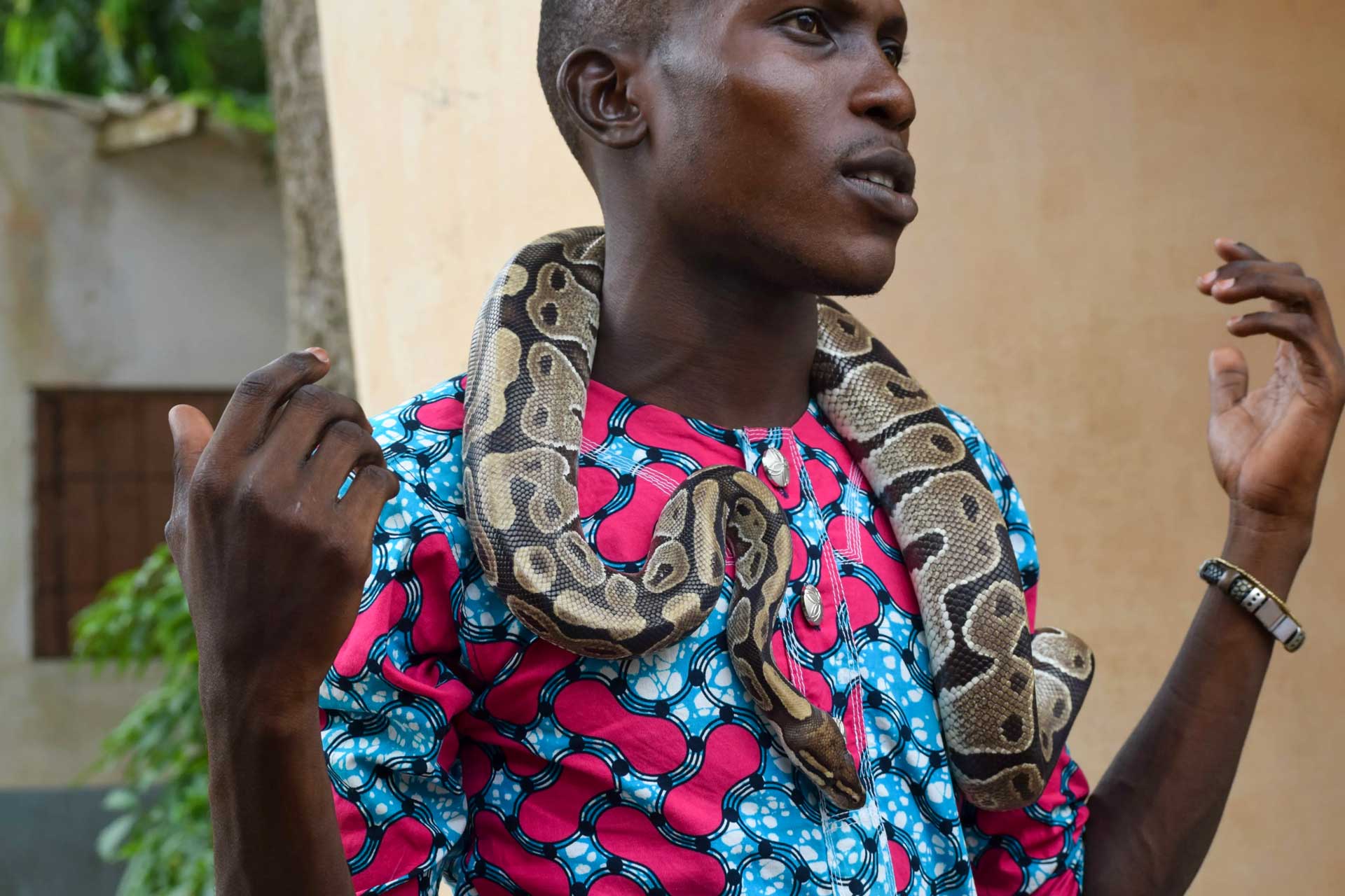 Pythons Temple