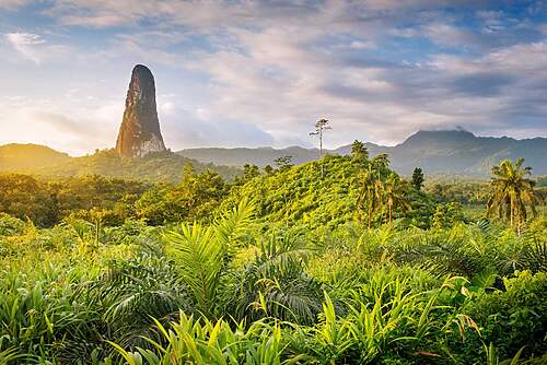 Pico Cao Grande
