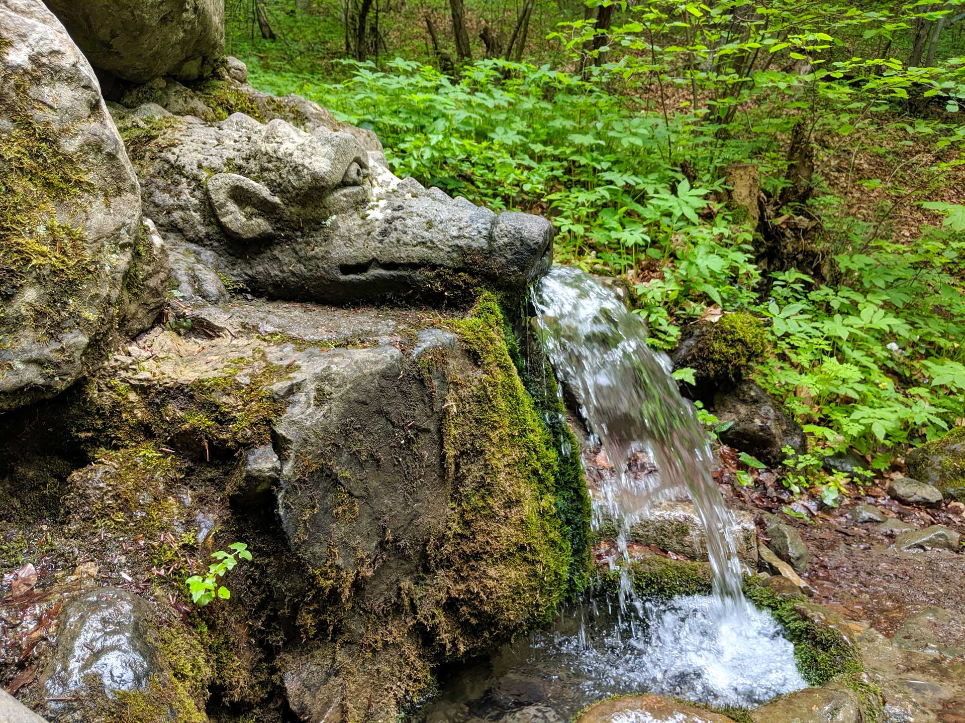Prameň vody života