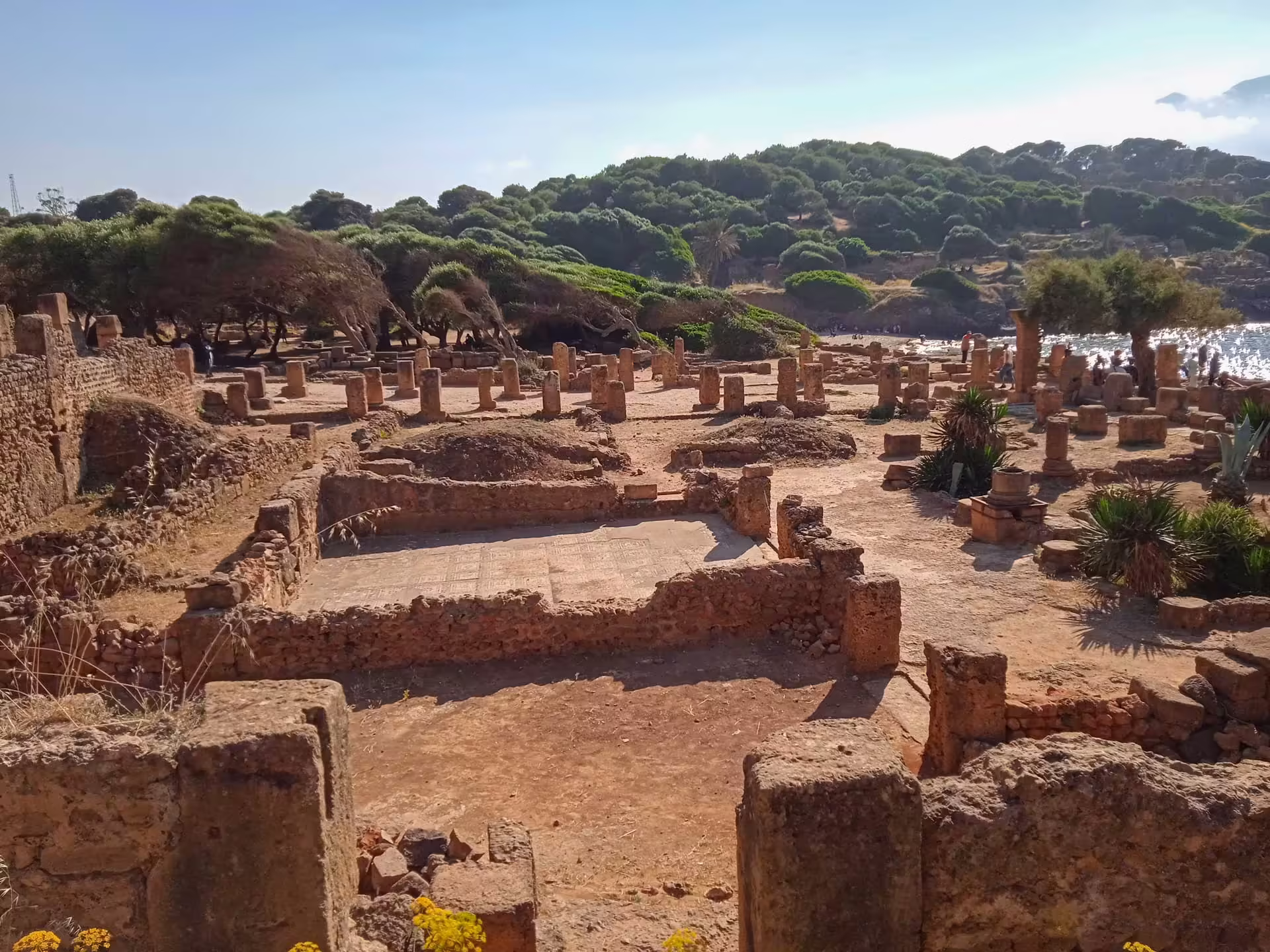 Tipasa