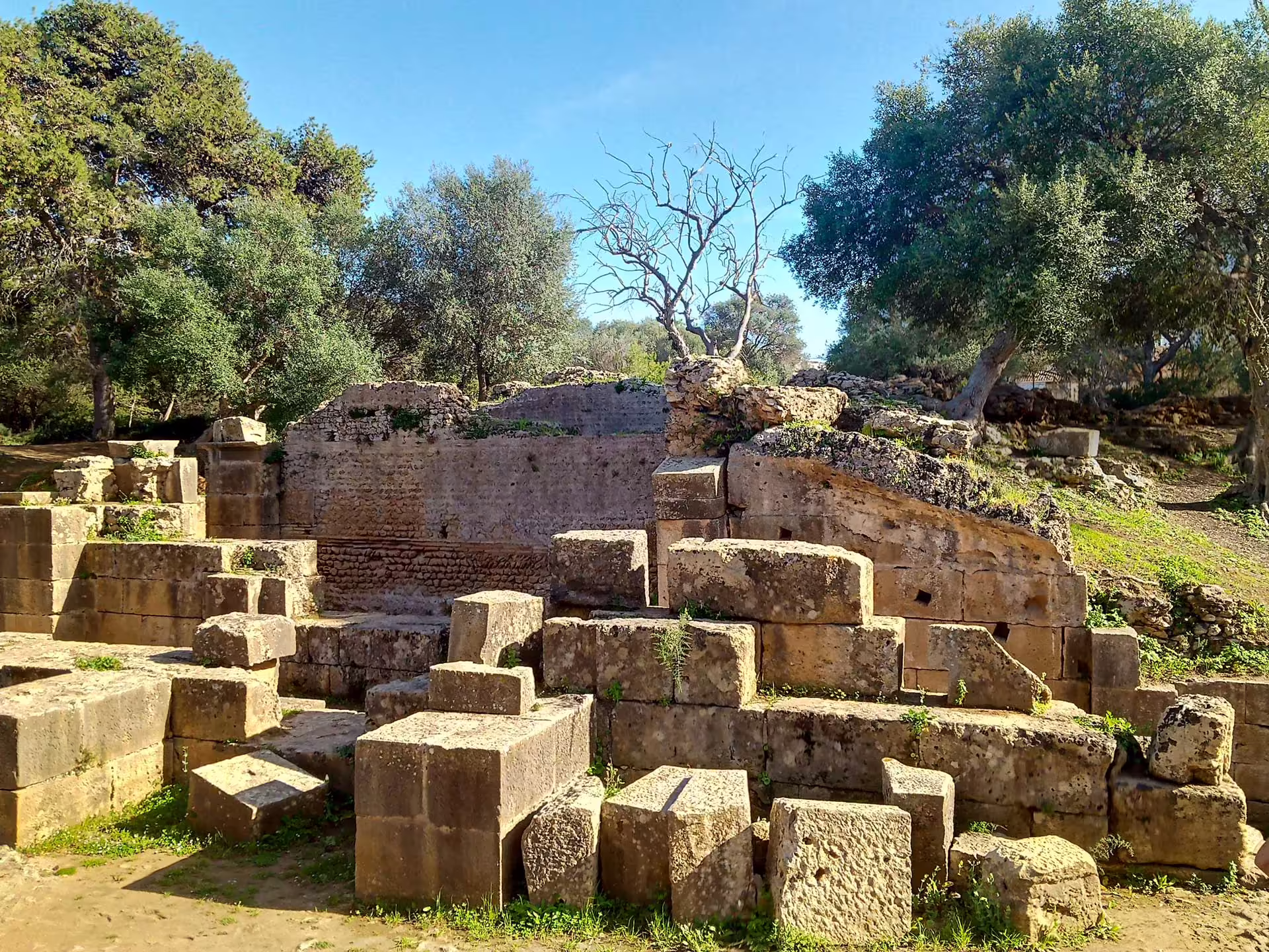 Tipasa