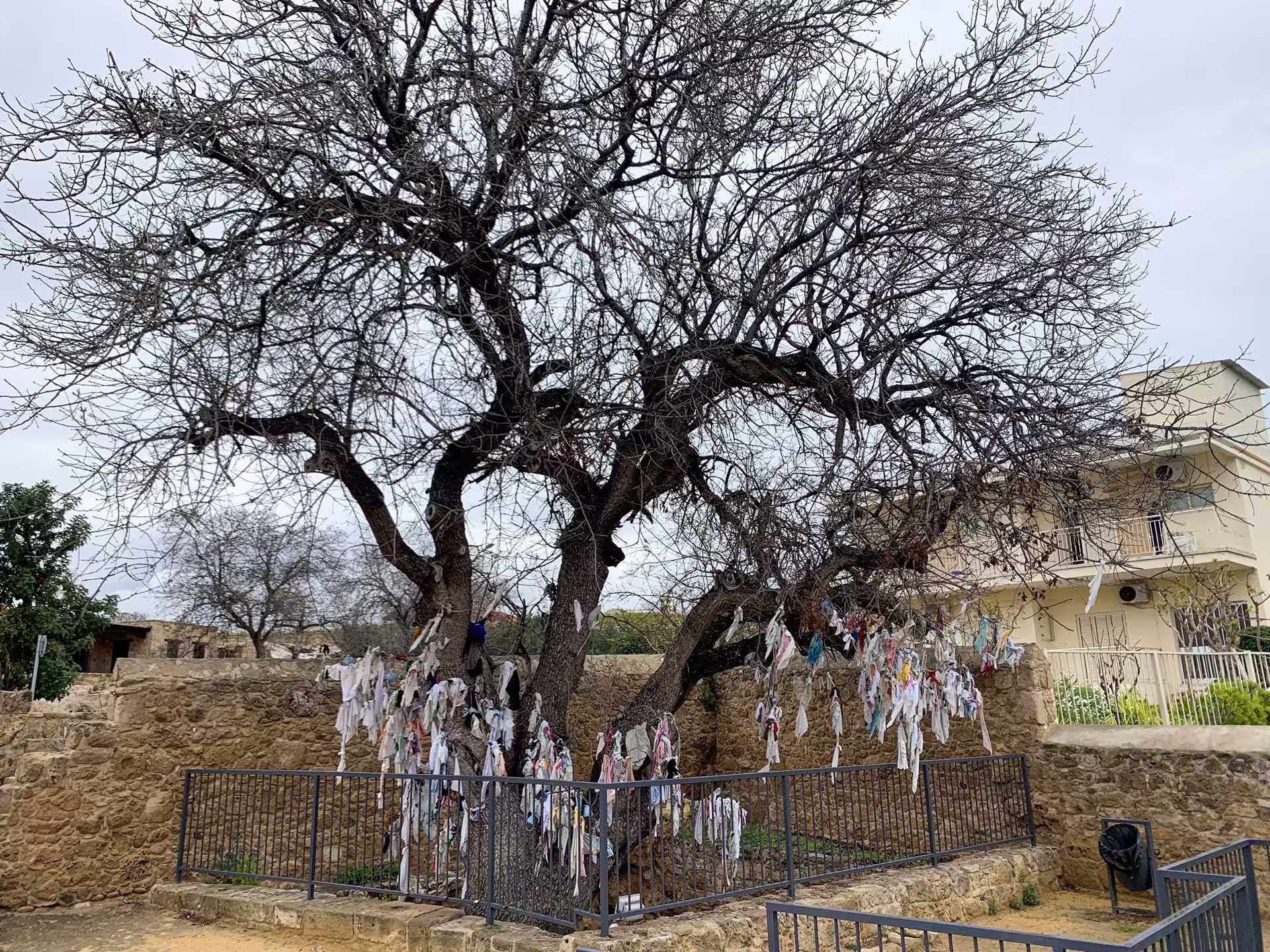 Agia Solomoni