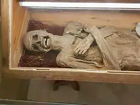 Vzduchom Vysušený Kňaz