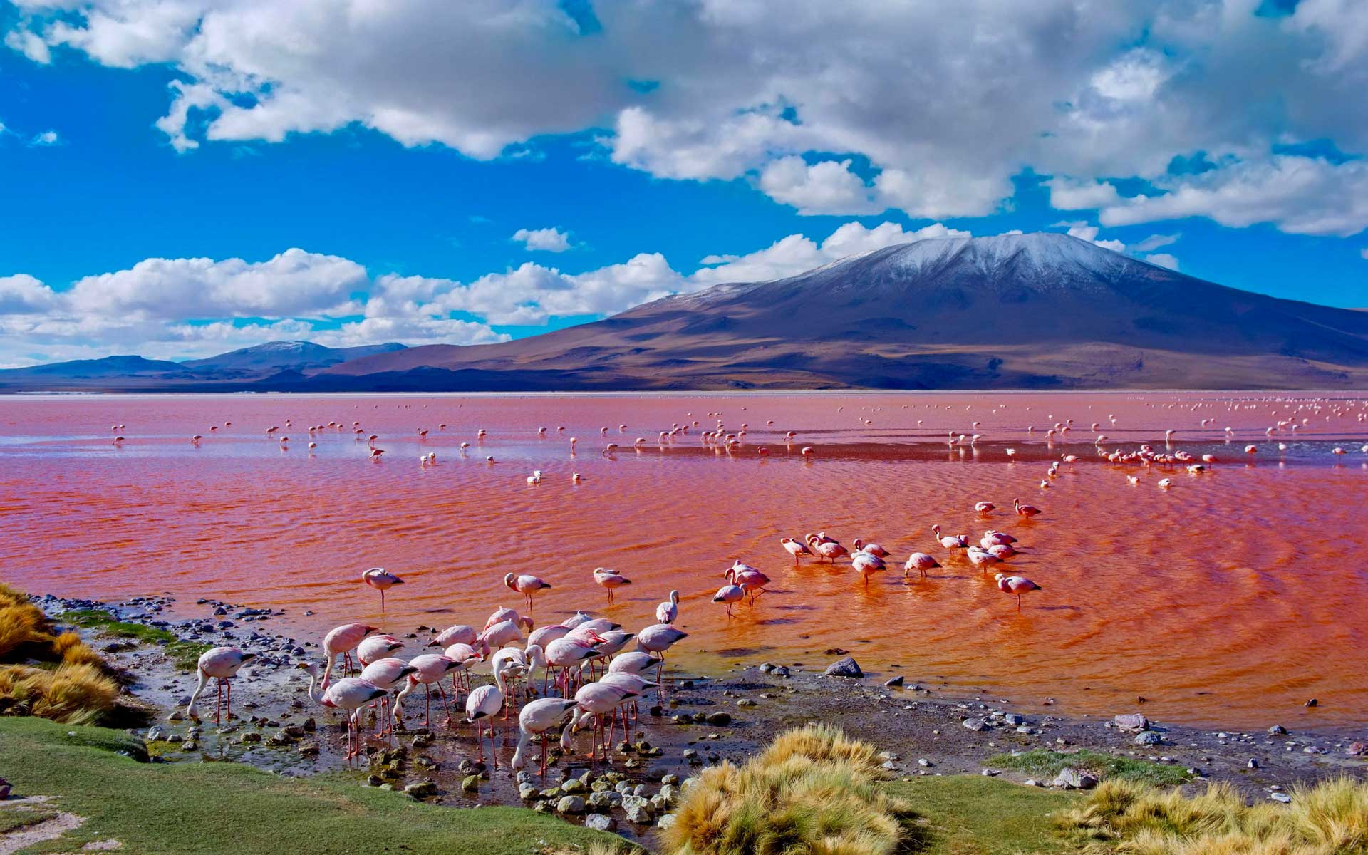 https://www.placemania.sk/wp-content/uploads/2024/03/laguna_colorada.jpg