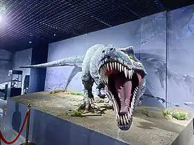 The Natural History Museum of Mongolia