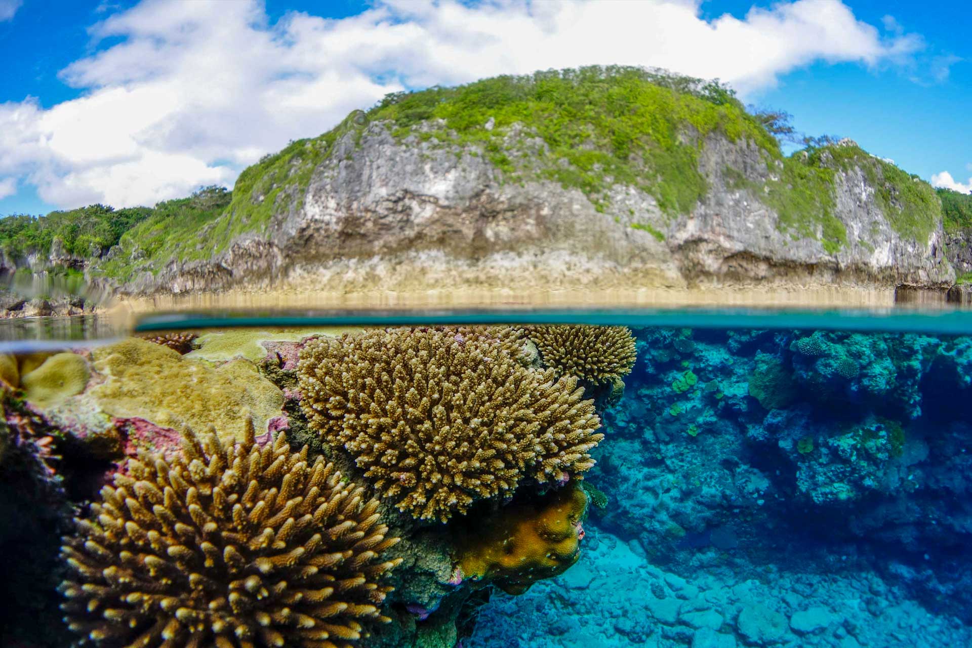 https://www.placemania.sk/wp-content/uploads/2024/03/niue.jpg