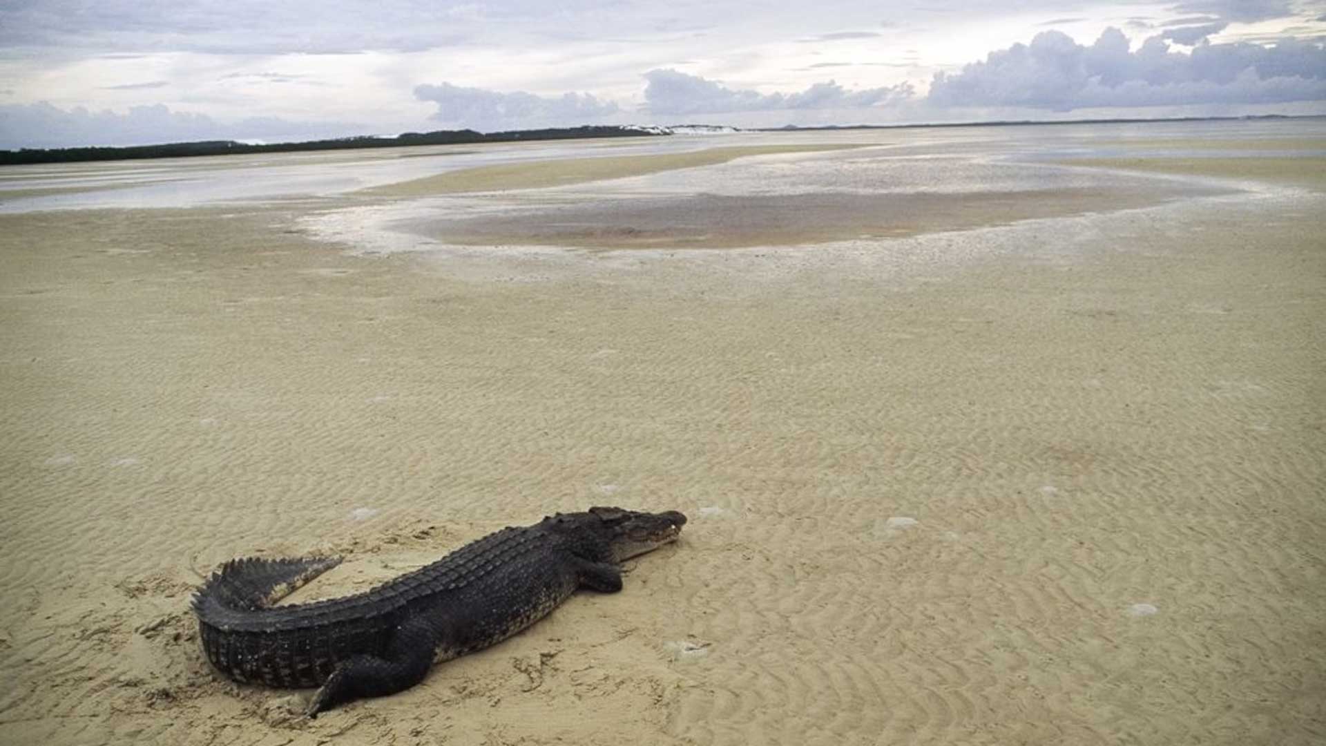 Cape York