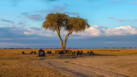 Ol Pejeta