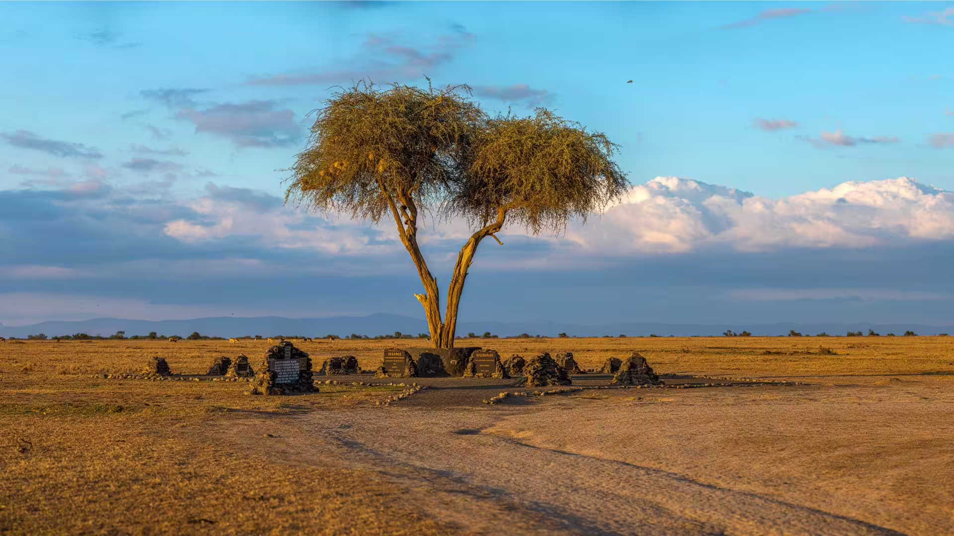 Ol Pejeta